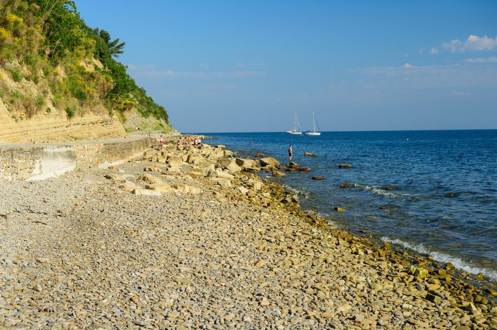 Sea View Guesthouse Opara Piran Exterior photo